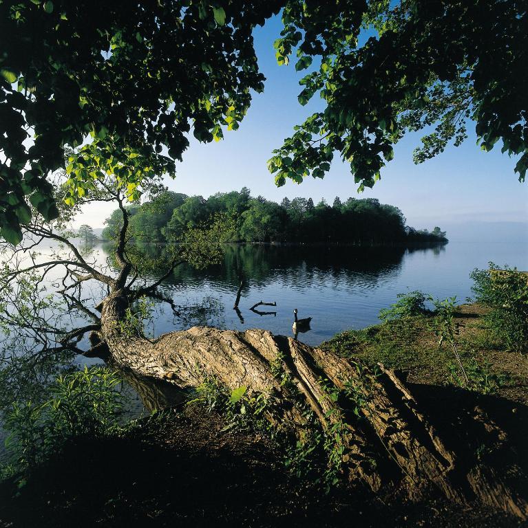 Hotel Residence Starnberger See Feldafing Dış mekan fotoğraf